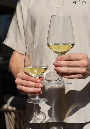 Toasting with wine